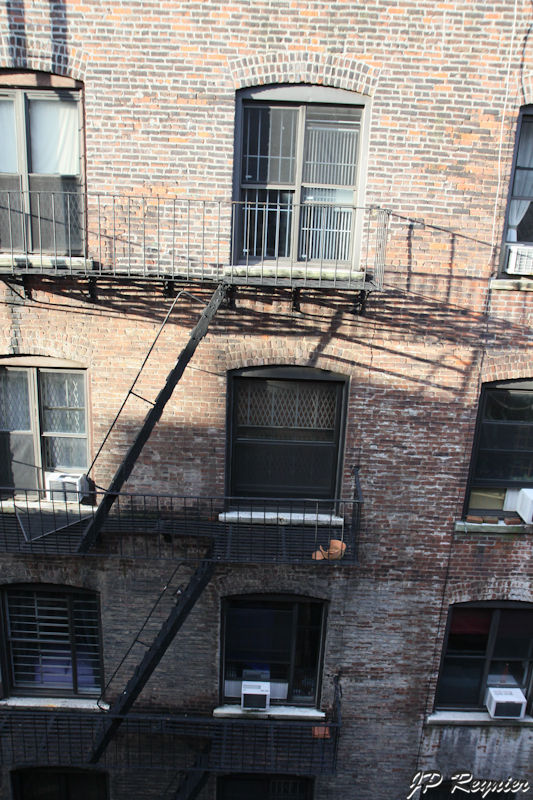 100316_NYC_1195_LR.jpg