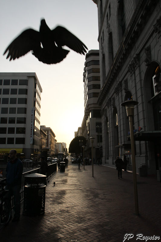 IMG_8359_LR.jpg