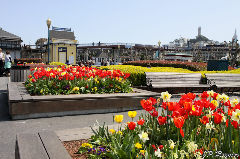 IMG_8568_LR.jpg