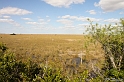 Everglades